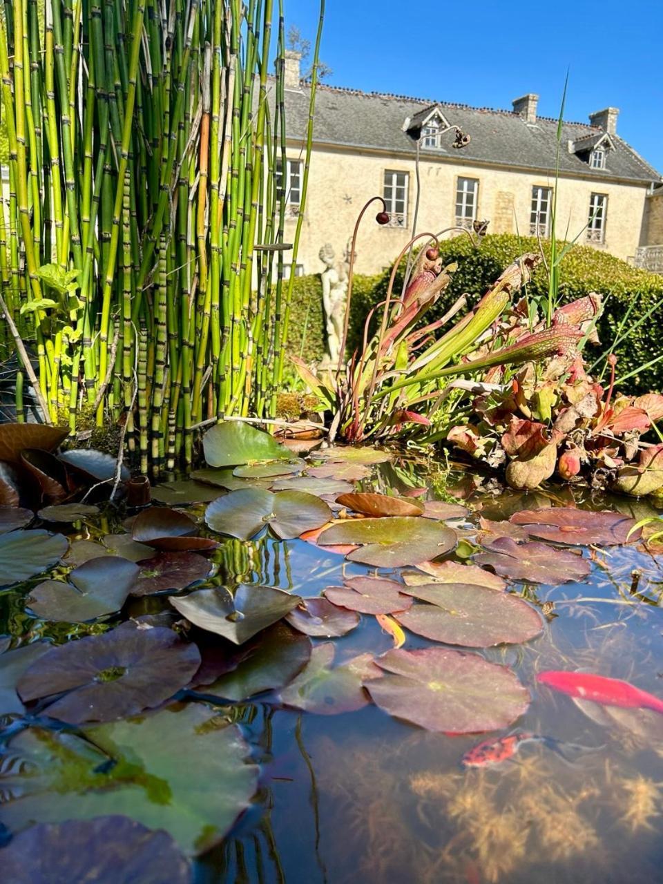 Chambres D'Hotes Manoir Du Chene Nonant Экстерьер фото